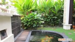 如何使池塘绿水变清，鱼池水变绿用什么办法可以消除?