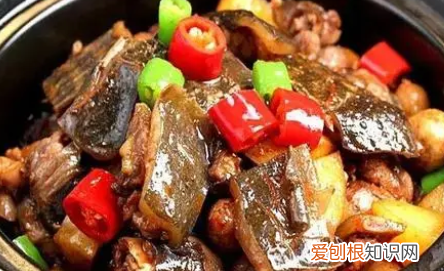 炒甲鱼的做法,甲鱼的家常做法