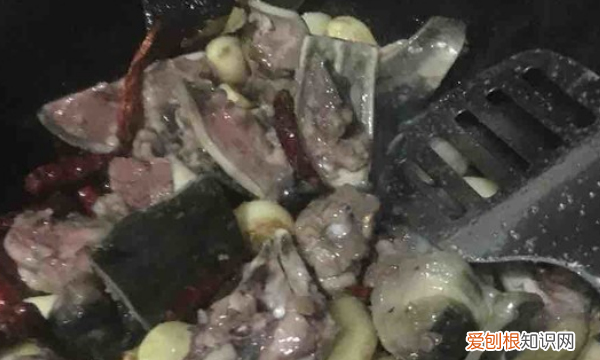 炒甲鱼的做法,甲鱼的家常做法