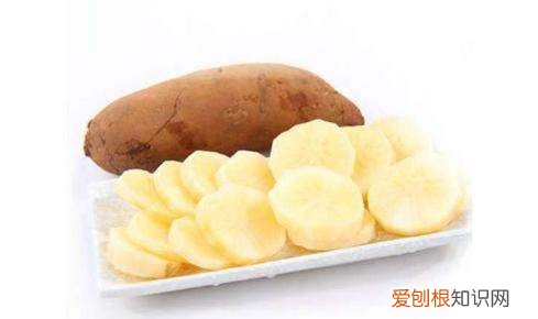 雪莲果吃了会拉肚子是怎么回事 雪莲果吃了会拉肚子是什么原因