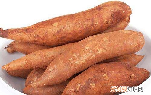 雪莲果吃了会拉肚子是怎么回事 雪莲果吃了会拉肚子是什么原因