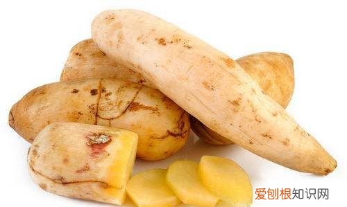 雪莲果吃了会拉肚子是怎么回事 雪莲果吃了会拉肚子是什么原因