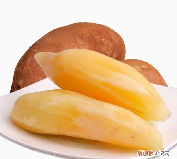 雪莲果吃了会拉肚子是怎么回事 雪莲果吃了会拉肚子是什么原因