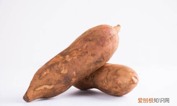 雪莲果吃了会拉肚子是怎么回事 雪莲果吃了会拉肚子是什么原因