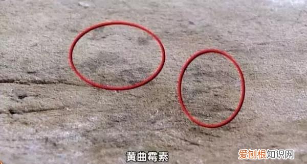 消毒碗柜发霉怎么办 家里的碗柜生霉怎么办