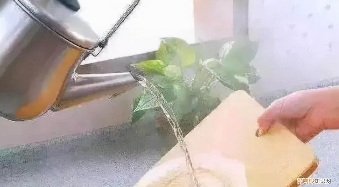 消毒碗柜发霉怎么办 家里的碗柜生霉怎么办