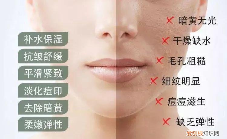 每天晚上坚持涂芦荟胶的效果 芦荟胶对痘痘和痘印有效果吗