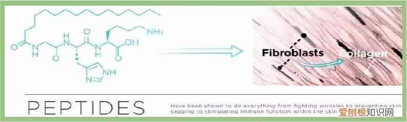 每天晚上坚持涂芦荟胶的效果 芦荟胶对痘痘和痘印有效果吗
