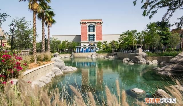 迪拜沙漠中的绿洲,迪拜沙漠之地进化史