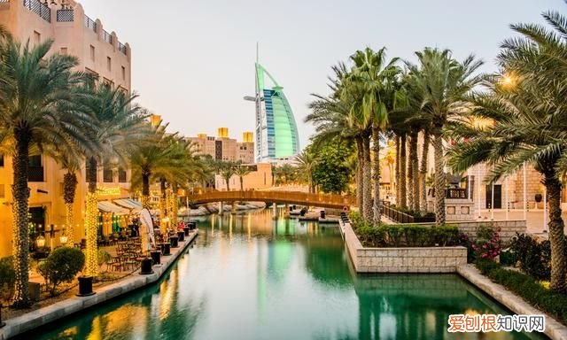 迪拜沙漠中的绿洲,迪拜沙漠之地进化史