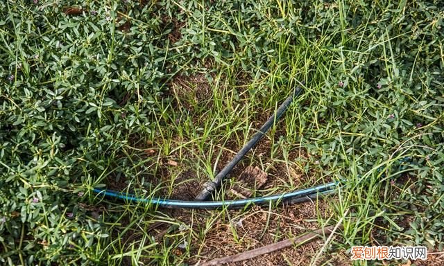 迪拜沙漠中的绿洲,迪拜沙漠之地进化史