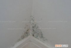 卫生间墙角发霉怎么办 卫生间墙角发霉如何办