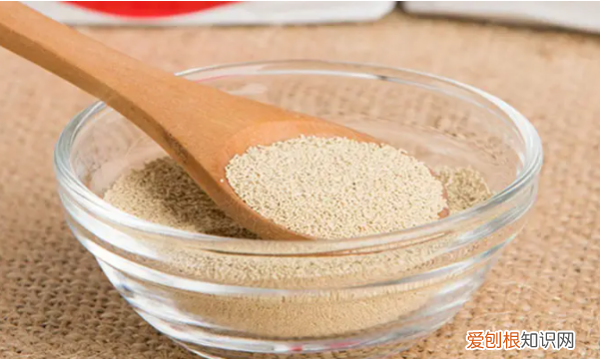 酵母粉和甜酒曲的区别 酵母粉和甜酒曲的不同