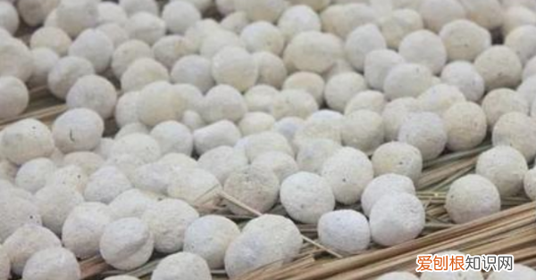 酵母粉和甜酒曲的区别 酵母粉和甜酒曲的不同