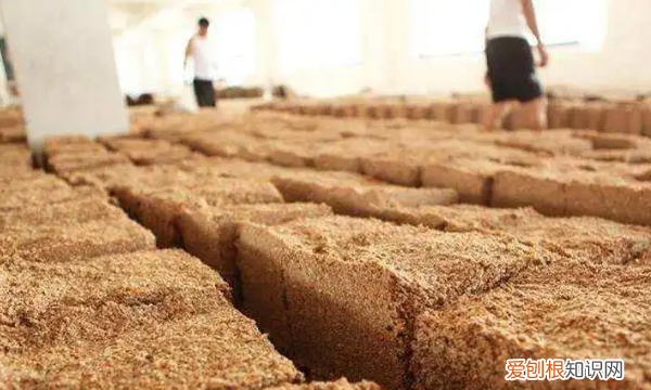 酵母粉和甜酒曲的区别 酵母粉和甜酒曲的不同