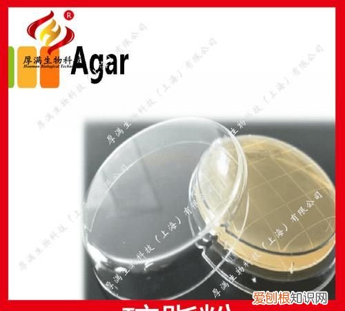 琼脂的功效与作用 琼脂的功效与作用有哪些