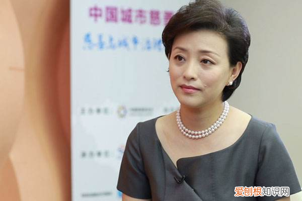 2020年乘风破浪的姐姐主持人是谁