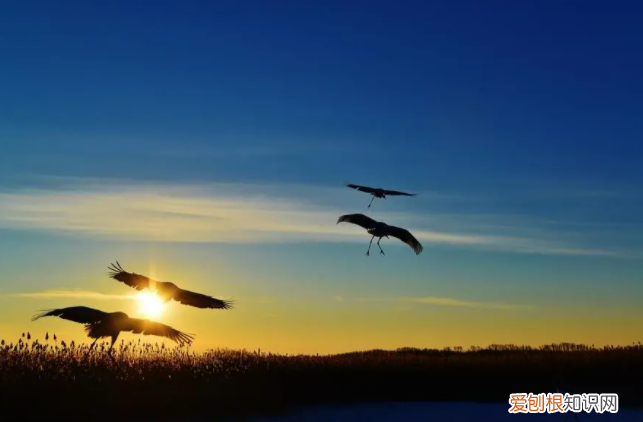 老师激励孩子努力上进的话 激励孩子努力上进的话