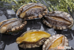 鲍鱼几头什么意思，鲍鱼几个头是什么意思?多少钱1斤?