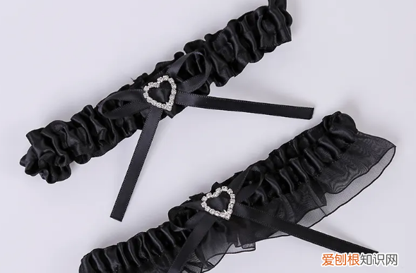 带子的功效与作用 带子有什么功效与作用
