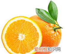 为什么橘子上火橙子降火 橘子上火橙子降火的原因