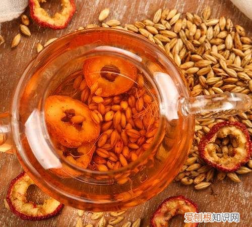 山楂麦芽水怎么煮 山楂麦芽水的做法