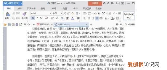 要如何删除Word的空白页，如何删除空白页word文档