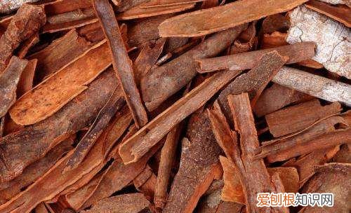 肉桂树剥皮后还能活 肉桂树剥皮后是否还能活