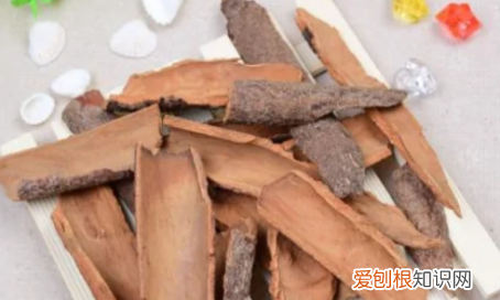 肉桂树剥皮后还能活 肉桂树剥皮后是否还能活