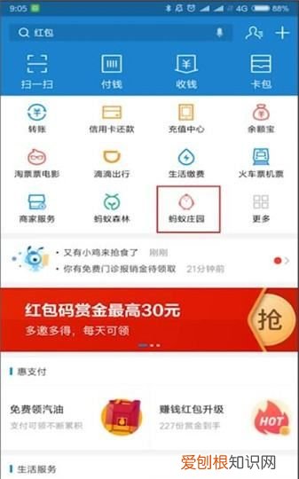 怎样在蚂蚁庄园揍别人的鸡,蚂蚁庄园如何才能揍别人小鸡