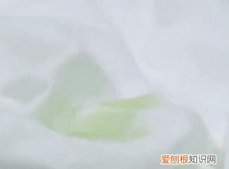 汽油能去掉粘胶，车膜胶都硬了拿汽油能除掉吗