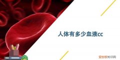 600cc是多少ml，600cc血是多少克