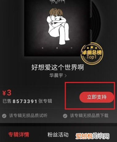要怎样在网易云中购买单曲，网易云音乐如何购买单首歌曲下载