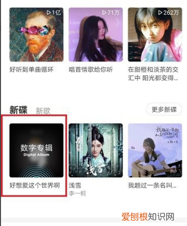 要怎样在网易云中购买单曲，网易云音乐如何购买单首歌曲下载