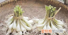 藠头吃多了有哪些危害 藠头吃多了有什么危害