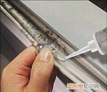 冰箱封条上的霉斑怎么清理 冰箱封条上的霉斑如何清理