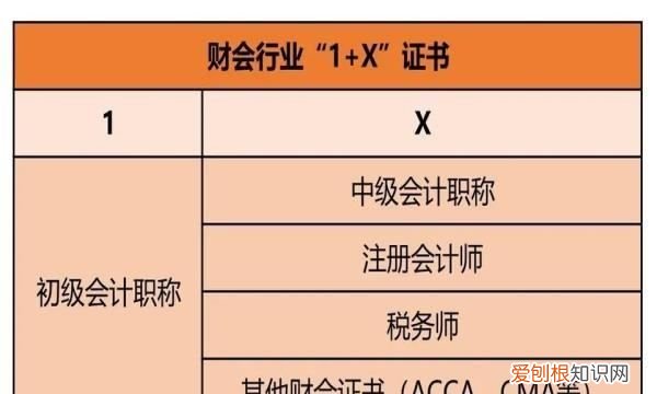 注会的会计与中级会计区别,注会和中级会计师的难度区别