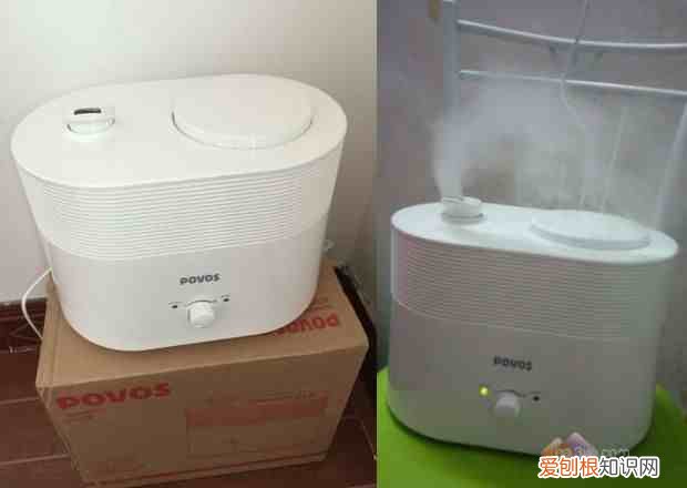 加湿器加凉白开水可以吗 加湿器用什么水