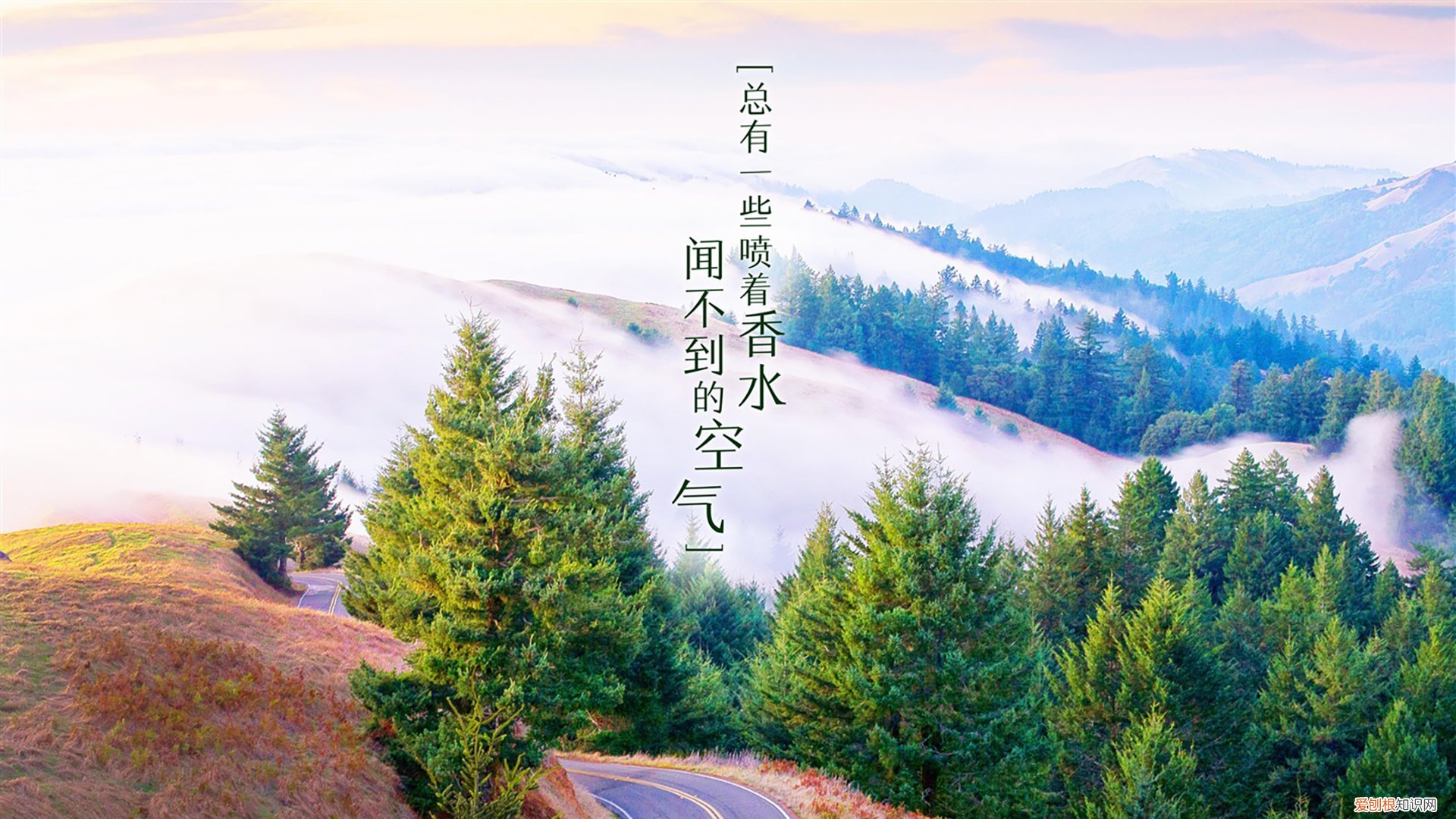 牙齿包套能用多久 套牙能用多久