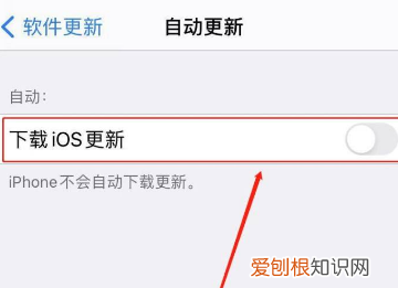 苹果手机如何才能关闭App自动更新