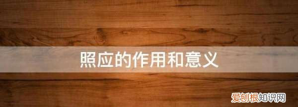 照应手法是什么意思，照应的作用和意义是什么
