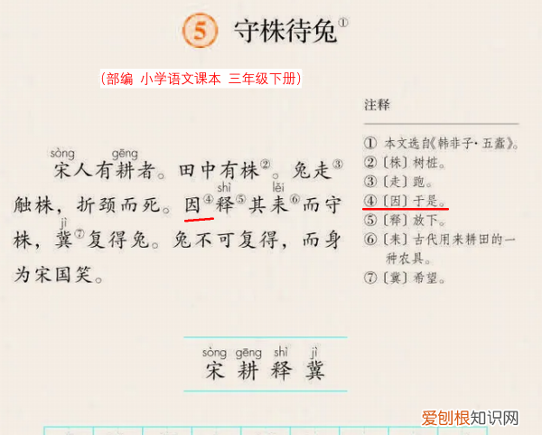 因释其耒而守株的耒是什么意思