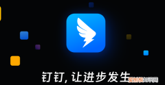 电脑版钉钉怎么布置作业，钉钉如何布置作业和检查作业