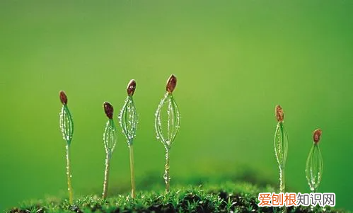 人的成长阶段划分为哪六个阶段