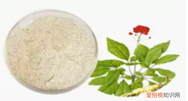 山麦皂甙是什么东西