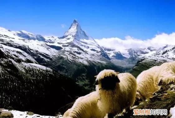 大自然的宫殿阿尔卑斯山,中国最像阿尔卑斯山脉的地方
