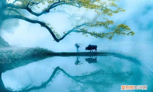 日长篱落无人过唯有蜻蜓蛱蝶飞,日长篱落无人过唯有蜻蜓蛱蝶读音
