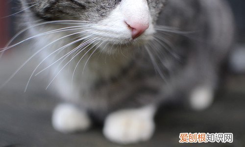 冬至祝福语简单温馨  冬至祝福语大全