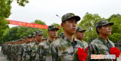 高校新生去当兵算什么学历，刚考上大专去当兵算大学兵吗