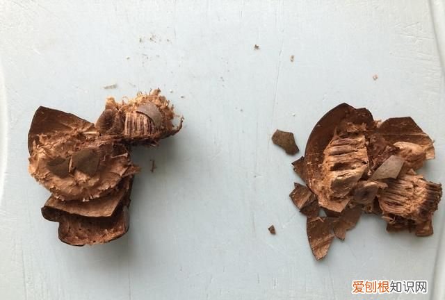 ktv的罗汉果茶怎么泡，罗汉果茶怎么煮 罗汉果茶如何煮